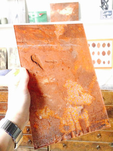 Braaf hondje_Verborgen Beesten ©Joeri van Beek