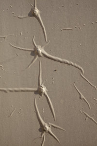 IJmuiden #05_Joeri van Beek