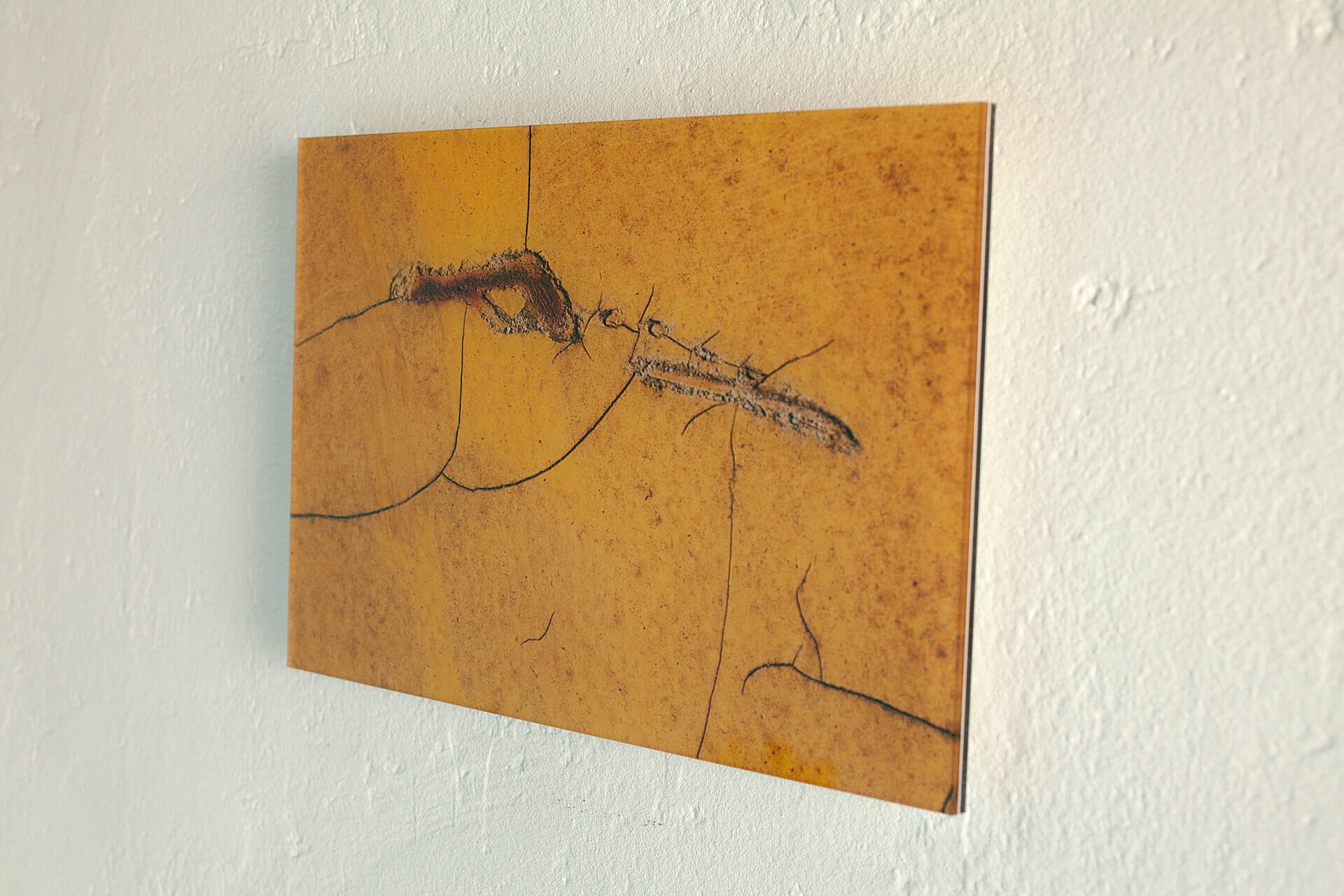 Veborgen Beesten_IJmuiden #01 ©Joeri van Beek