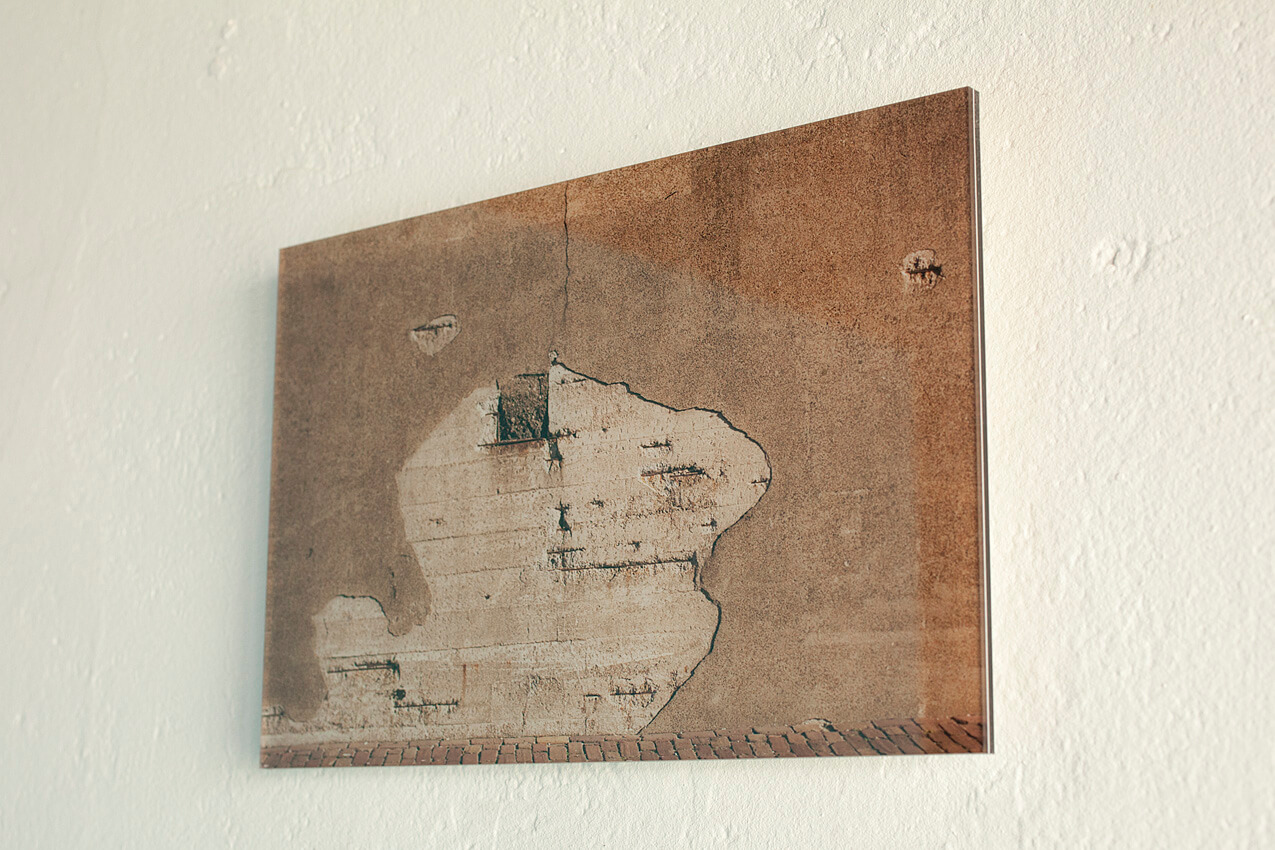 Verborgen Beesten_ IJmuiden #02 ©Joeri van Beek