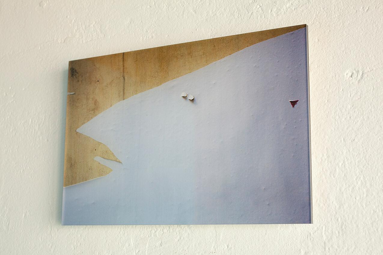 Verborgen Beesten_Guangzhou #10, China ©Joeri van Beek