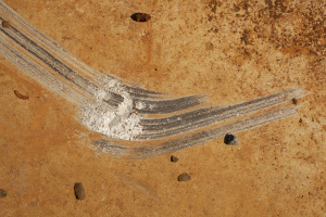 Vlissingen #02, NL ©Joeri van Beek