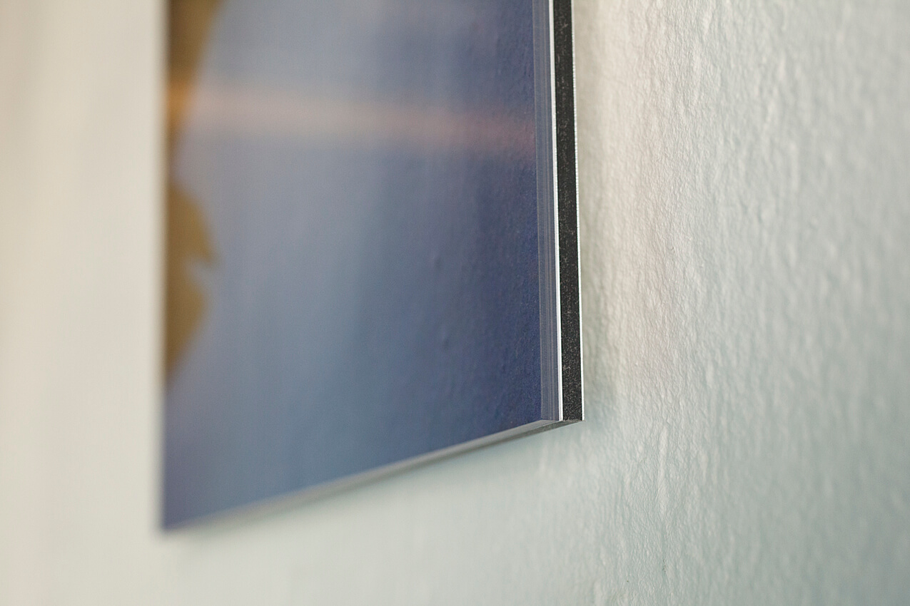 afwerking_Verborgen Beesten ©Joeri van Beek