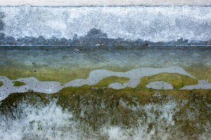 ©Joeri van Beek_Pijnacker 06