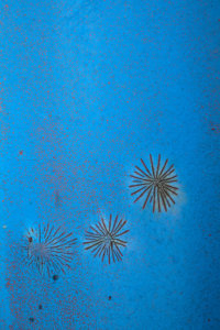 ©Joeri van Beek_Pijnacker 07