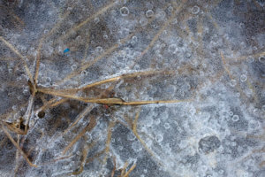 ©Joeri van Beek_Pijnacker 09