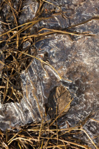 ©Joeri van Beek_Pijnacker 10