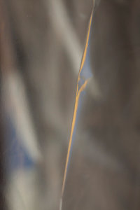 ©Joeri van Beek_wasserette 16